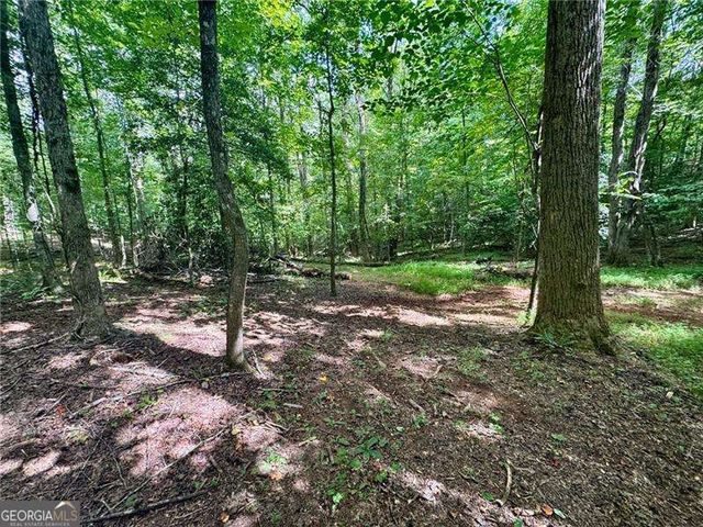 LOT 5 Fowler Creek Drive, Cleveland, GA 30528