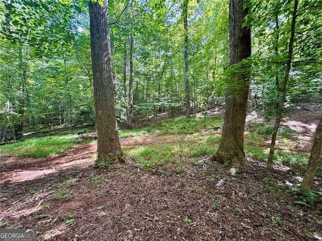 LOT 5 Fowler Creek Drive, Cleveland, GA 30528