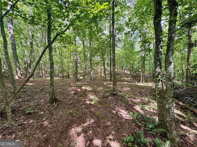 LOT 5 Fowler Creek Drive, Cleveland, GA 30528