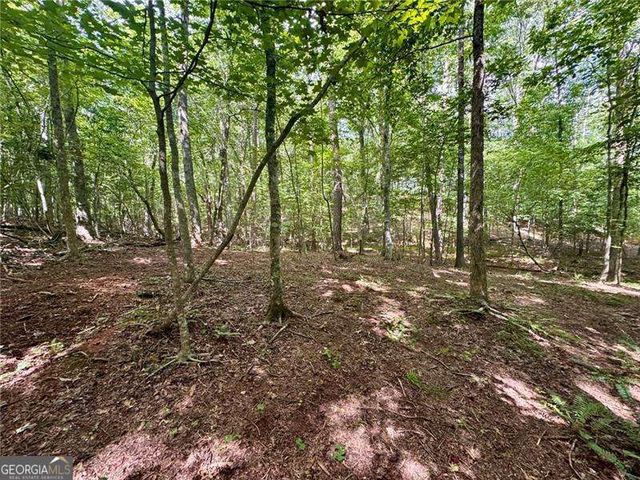 LOT 5 Fowler Creek Drive, Cleveland, GA 30528