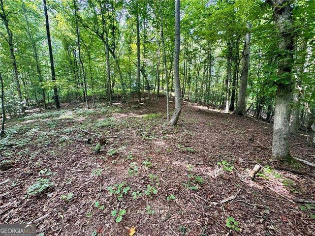 LOT 5 Fowler Creek Drive, Cleveland, GA 30528