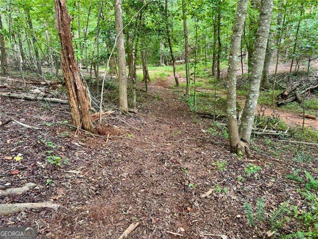 LOT 5 Fowler Creek Drive, Cleveland, GA 30528