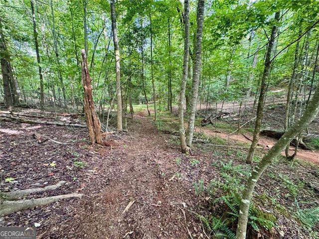 LOT 5 Fowler Creek Drive, Cleveland, GA 30528