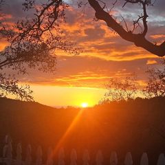 46455 Konklin Road, Coarsegold, CA 93614