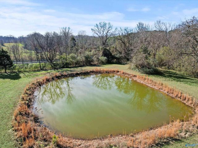 7875 Snake Road, Athens, AL 35611