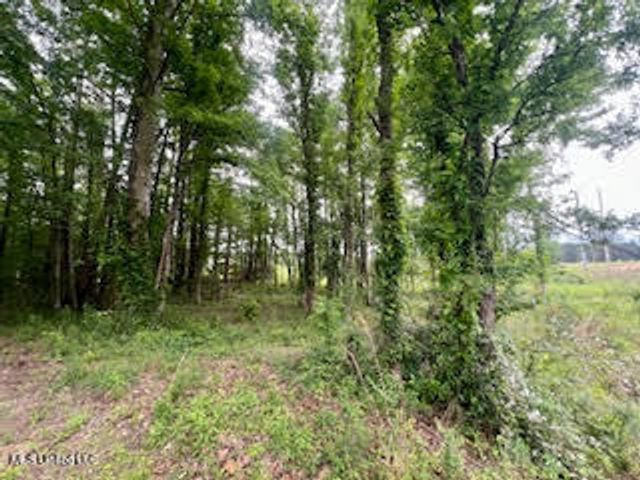 0 Hwy 475, Pearl, MS 39208