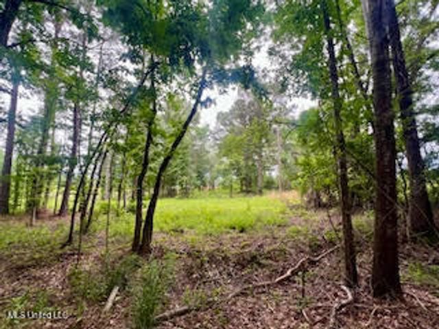 0 Hwy 475, Pearl, MS 39208