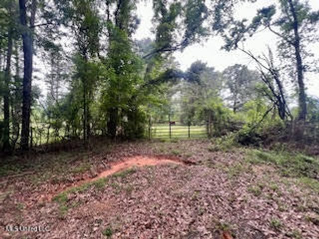 0 Hwy 475, Pearl, MS 39208
