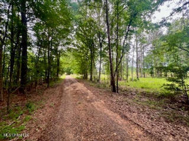 0 Hwy 475, Pearl, MS 39208