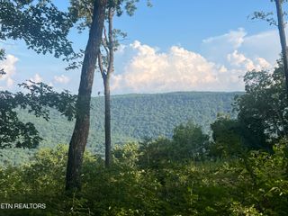635 Cumberland Cove Road, Monterey, TN 38574
