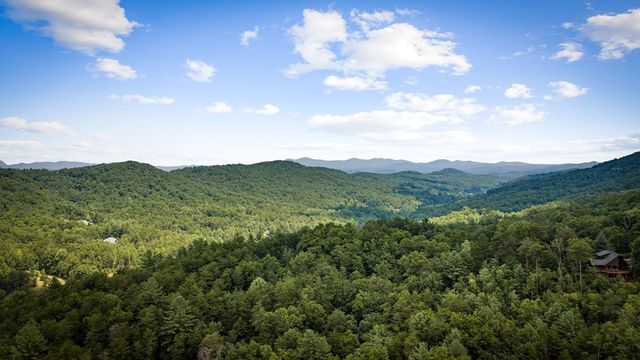 363 Griffith Parkway, Blue Ridge, GA 30513