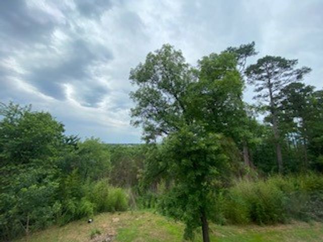 6 Briarwood Lane, Clarksville, AR 72830