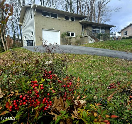 2323 Inglewood Drive, Kingsport, TN 37664