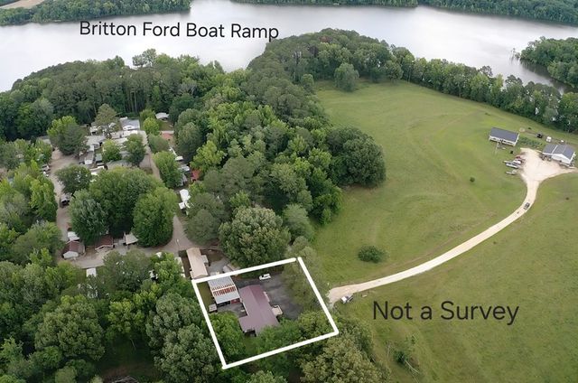 339 Britton Ford Rd, Springville, TN 38256