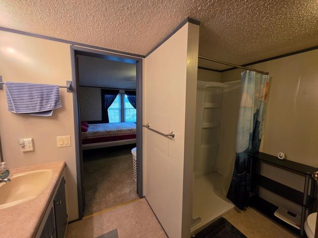 339 Britton Ford Rd, Springville, TN 38256