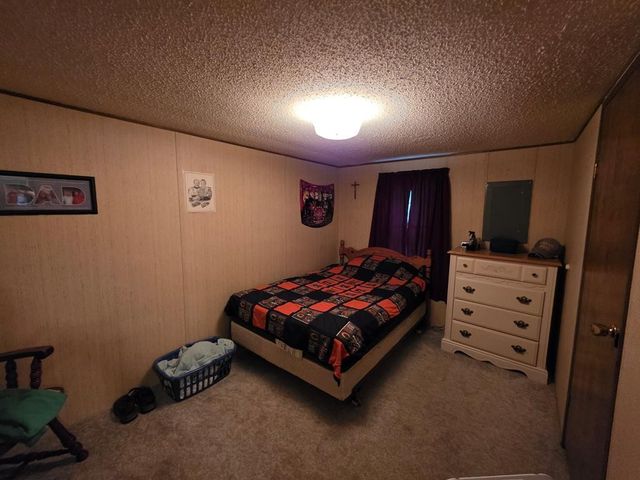 339 Britton Ford Rd, Springville, TN 38256