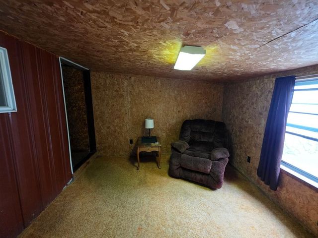 339 Britton Ford Rd, Springville, TN 38256