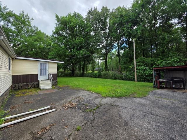 339 Britton Ford Rd, Springville, TN 38256