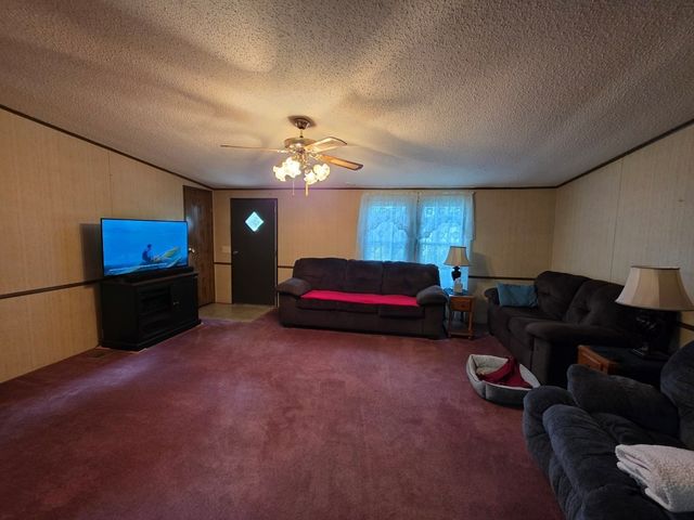 339 Britton Ford Rd, Springville, TN 38256