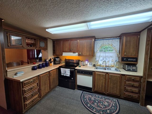 339 Britton Ford Rd, Springville, TN 38256