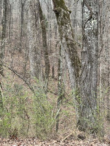 6020 Highway 230, Lyles, TN 37098