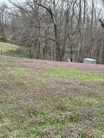 6020 Highway 230, Lyles, TN 37098