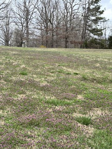 6020 Highway 230, Lyles, TN 37098