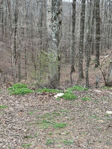 6020 Highway 230, Lyles, TN 37098