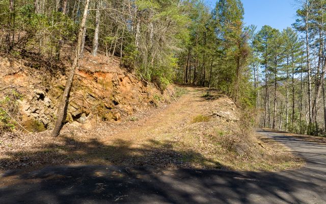 3+AC Coatopa Court, Ellijay, GA 30540