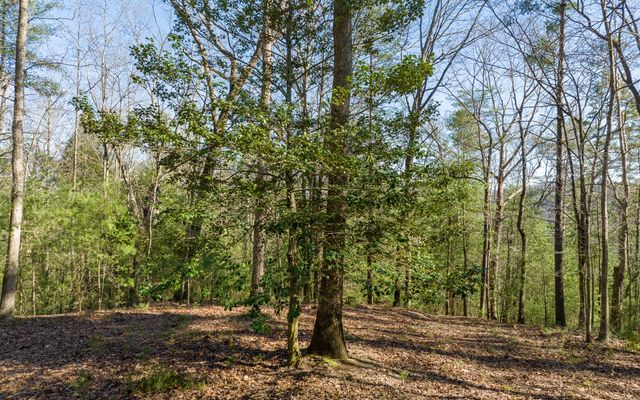 3+AC Coatopa Court, Ellijay, GA 30540