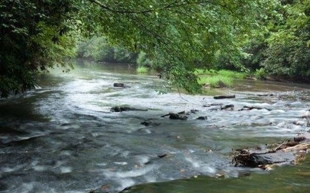 3+AC Coatopa Court, Ellijay, GA 30540