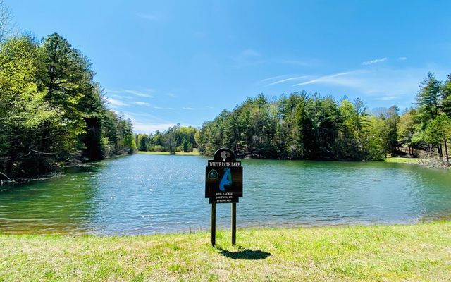 3+AC Coatopa Court, Ellijay, GA 30540