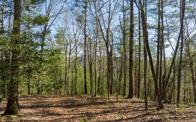 3+AC Coatopa Court, Ellijay, GA 30540