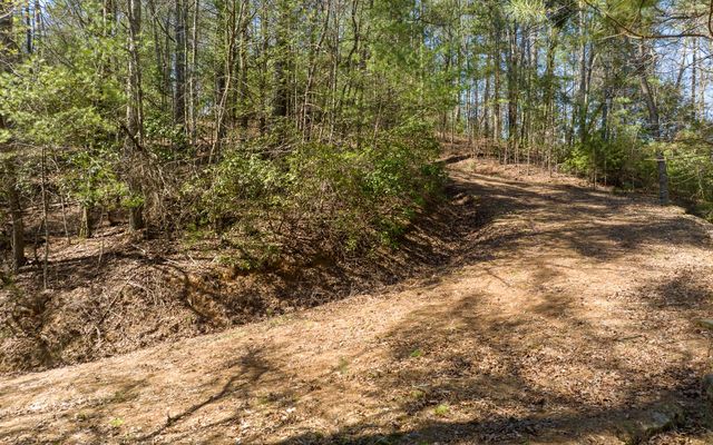3+AC Coatopa Court, Ellijay, GA 30540