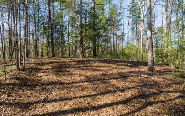 3+AC Coatopa Court, Ellijay, GA 30540