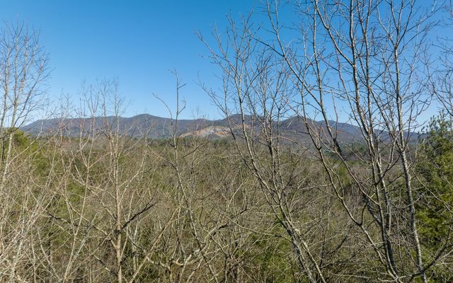 3+AC Coatopa Court, Ellijay, GA 30540