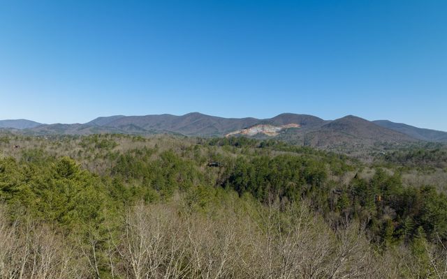3+AC Coatopa Court, Ellijay, GA 30540
