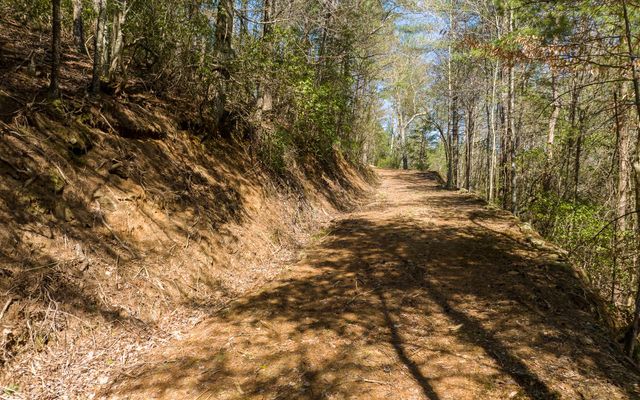 3+AC Coatopa Court, Ellijay, GA 30540