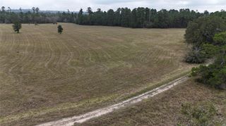 14.16 Acres Tract 2 Tbd Percy Howard Road, Huntsville, TX 77320