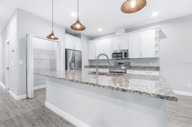 1505 E NORTH BAY STREET, Tampa, FL 33610