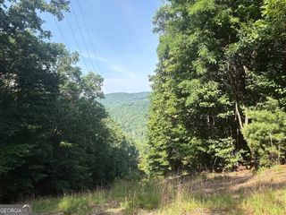 0 Laurel Branch Drive, Jasper, GA 30143
