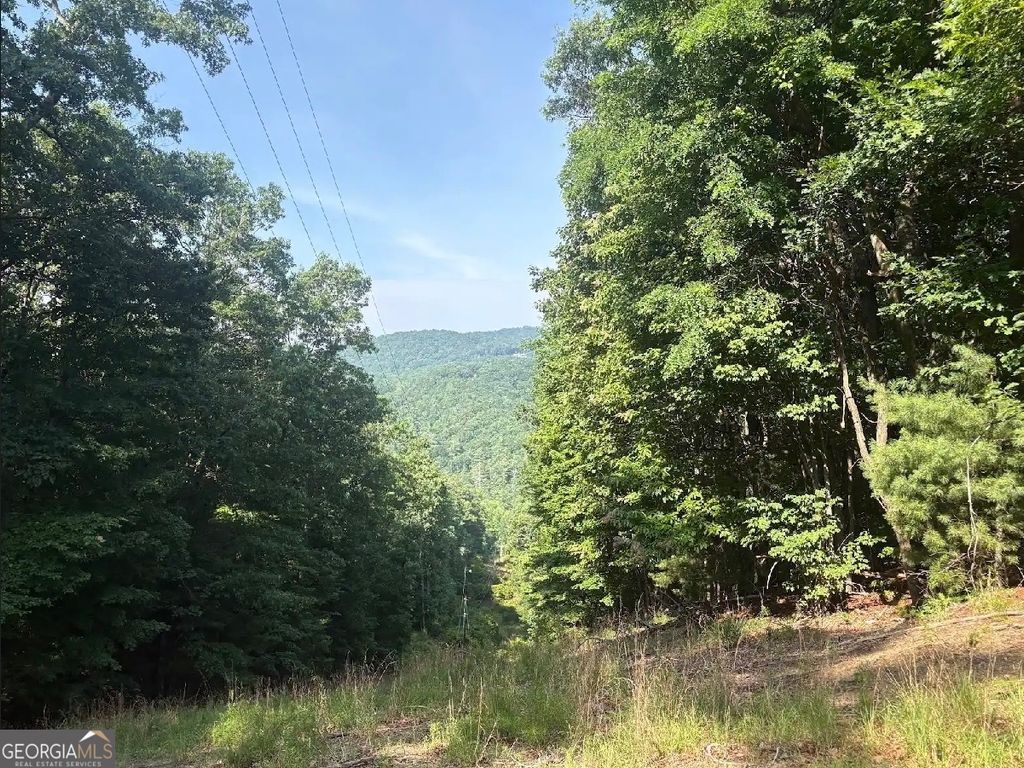 0 Laurel Branch Drive, Jasper, GA 30143