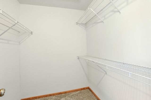 1409 MAN O WAR DR, Columbia, MO 65202