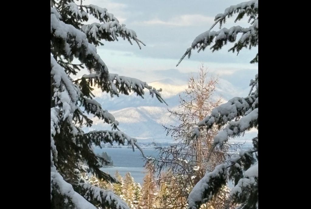 149 Monet Road, Lakeside, MT 59922 photo 81