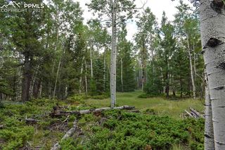 205 Timberline Drive, Guffey, CO 80820