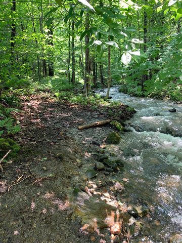 1986 Lower Elmore Mountain Road, Morristown, VT 05661