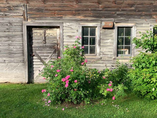 1986 Lower Elmore Mountain Road, Morristown, VT 05661