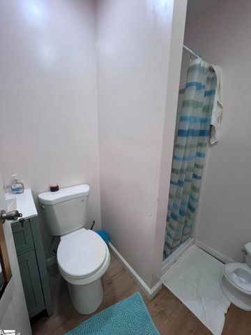 217 Old River Road, Pelzer, SC 29669