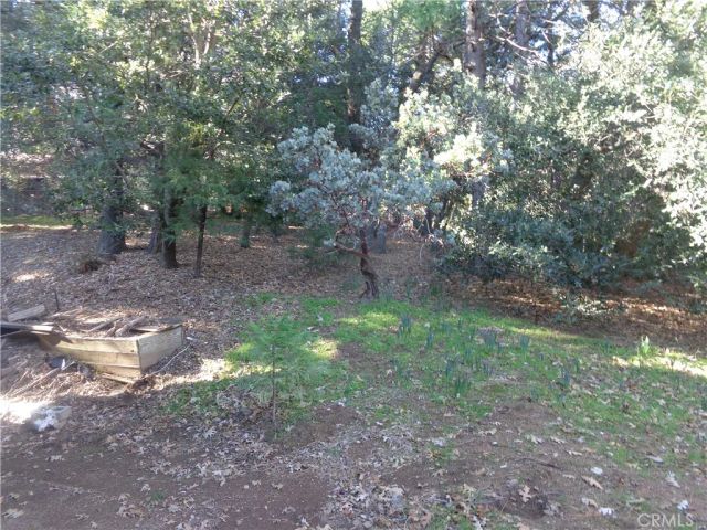 210 Wylerhorn Drive, Crestline, CA 92325