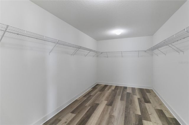 3089 IRISH PEACH DRIVE, Winter Garden, FL 34787